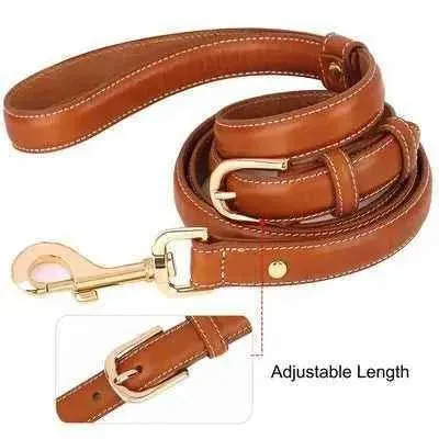 Pawsome Leather Dog Lead