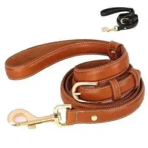 Pawsome Leather Dog Lead