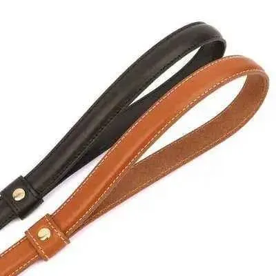 Pawsome Leather Dog Lead