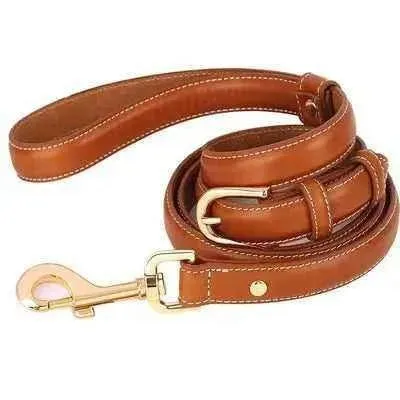 Pawsome Leather Dog Lead