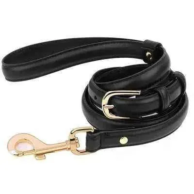 Pawsome Leather Dog Lead