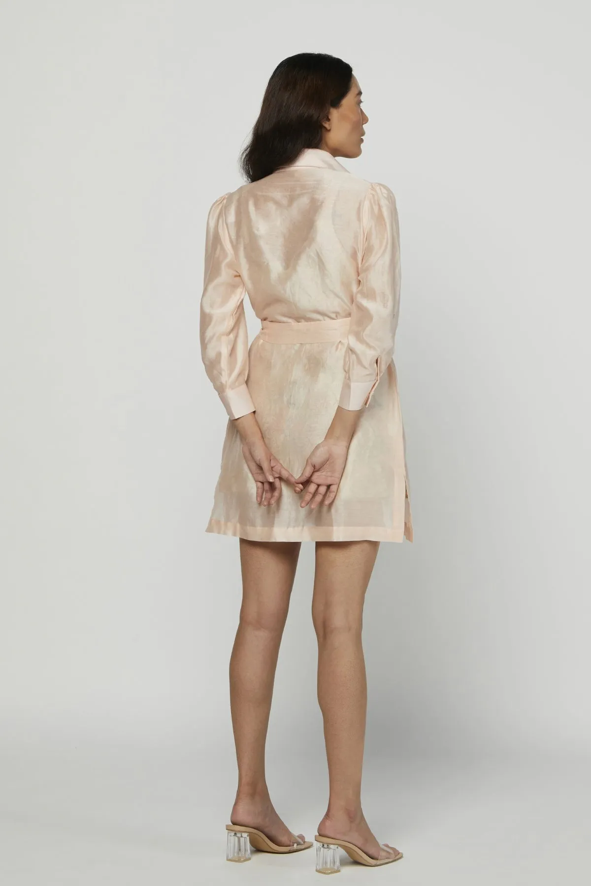Silk Chanderi Slip Dress